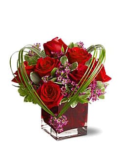 Жарден Флорист